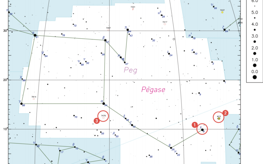 La constellation du trimestre – Pégase