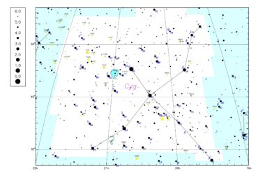 La constellation de l’été – Le Cygne