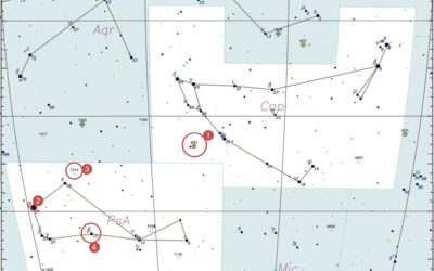 Les constellations du trimestre – Le Capricorne et le Poisson Austral