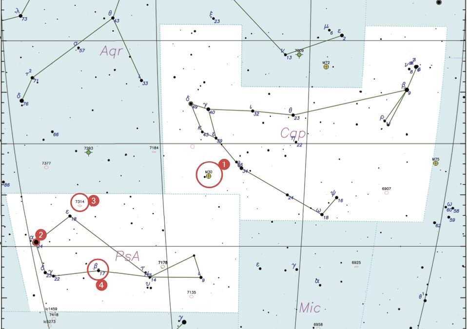 Les constellations du trimestre – Le Capricorne et le Poisson Austral