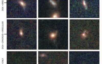 La diversité des galaxies primordiales révélée par le JWST