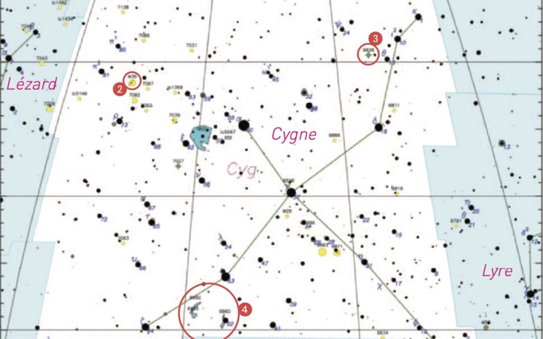 La constellation du trimestre: Le Cygne