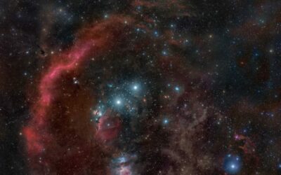 La constellation du trimestre – Orion